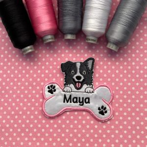Border Collie com osso